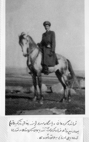 horse